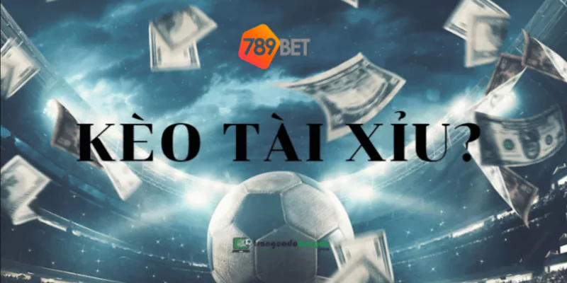 789BET - 789BET CASINO - NHÀ CÁI 789BET KÈO TÀI XỈU 789BET - 789BET - 789 BET - 789BET CASINO - NHÀ CÁI 789BET